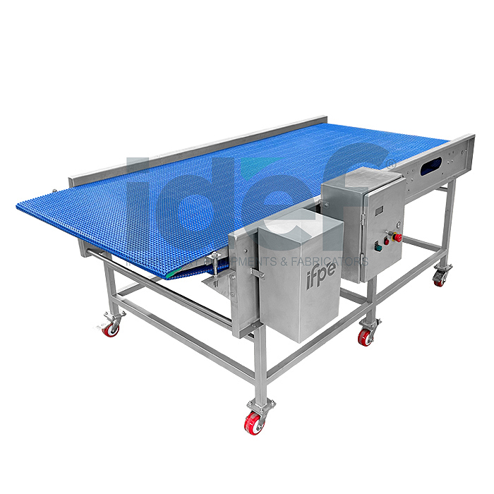 IQF Infeed Conveyor