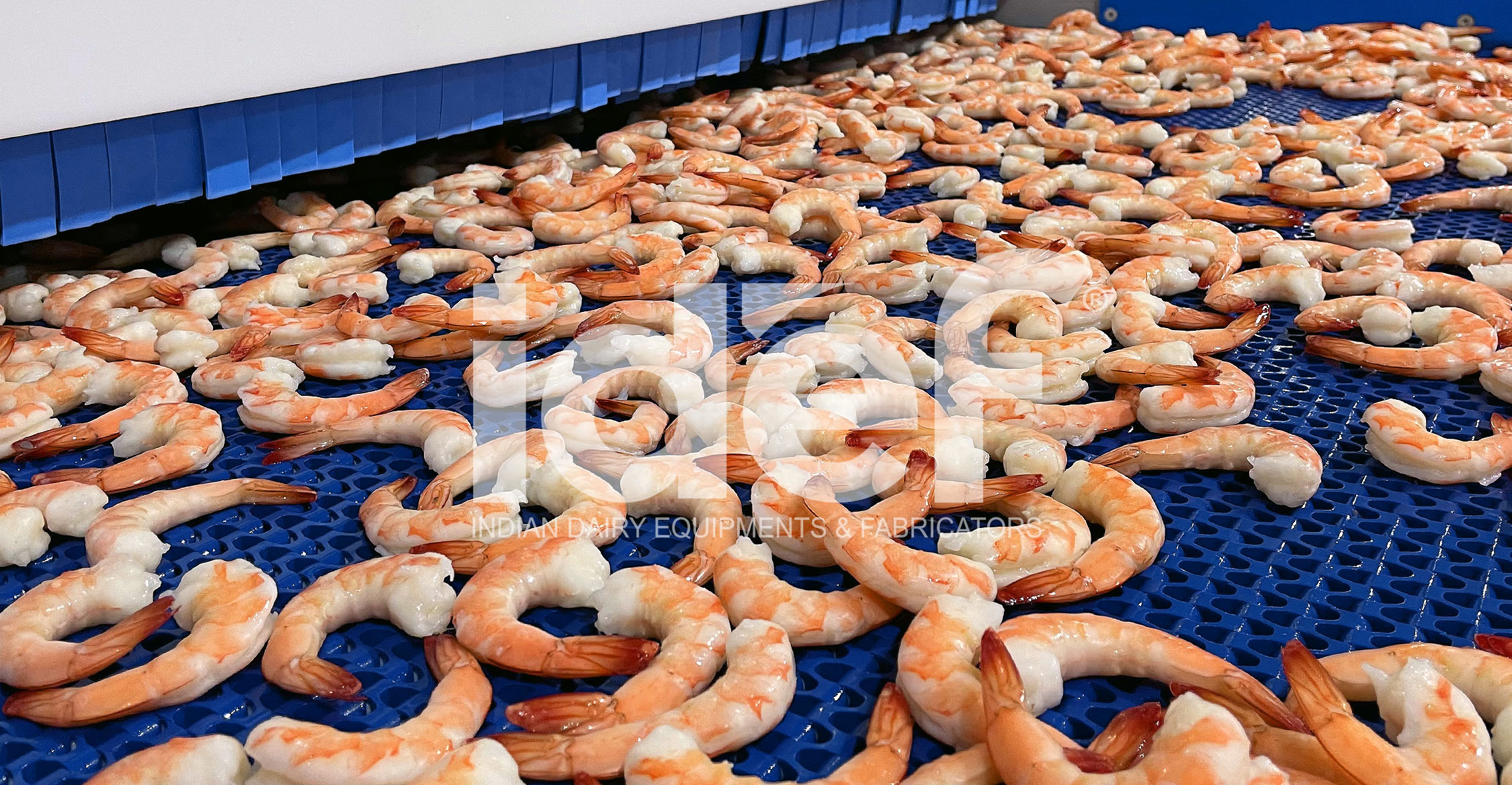 Seafood Processing Seafood Processing