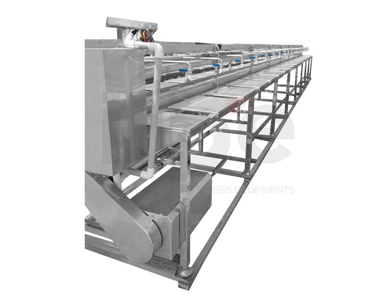 IDEF Shrimp De-heading Conveyor IDEF Shrimp De-heading Conveyor