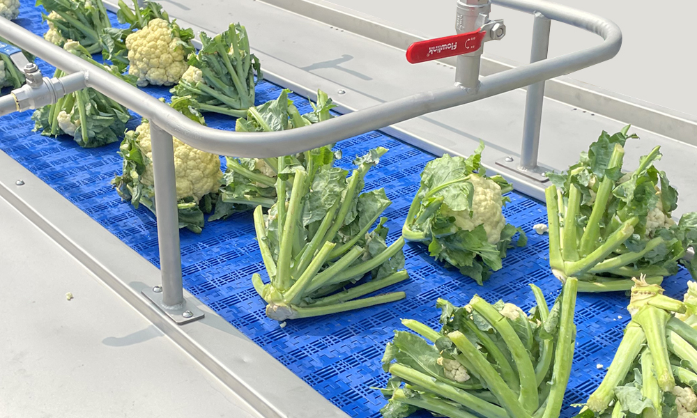 IDEF Fruits & Vegetables Processing Line